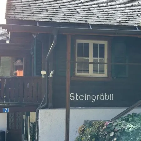 Appartamento Steingraebji 1- Og Sued Appartement-fewo- Dusche Oder Bad- Wc By Interhome *