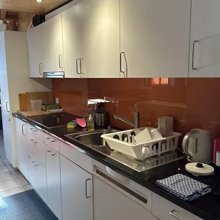 Steingraebji 1- Og Sued Appartement-fewo- Dusche Oder Bad- Wc By Interhome Appartamento Mörel