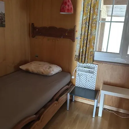 Steingraebji 1- Og Sued Appartement-fewo- Dusche Oder Bad- Wc By Interhome * Mörel