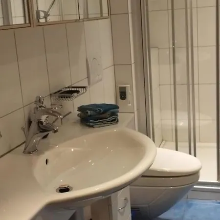 Steingraebji 1- Og Sued Appartement-fewo- Dusche Oder Bad- Wc By Interhome * Mörel